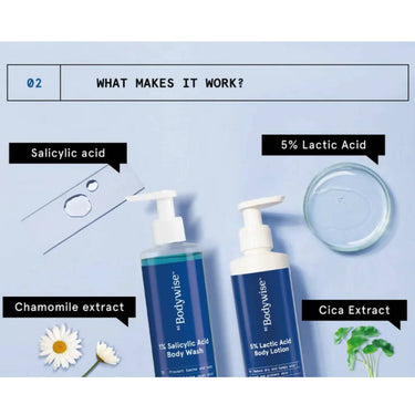 https://cdn.shopify.com/s/files/1/1857/6931/products/mLc79DVXBE.jpg?v=1677491077